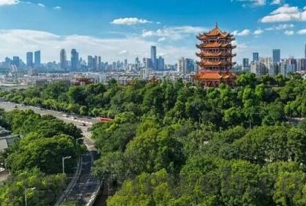足球比分盘-足球比分盘,赛场风云背后的数字博弈